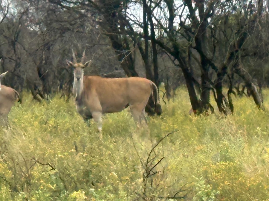 Commercial Property for Sale in Swartruggens North West